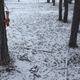 Image for article titled Photos: The gorgeous simplicity of life as a Siberian nomad